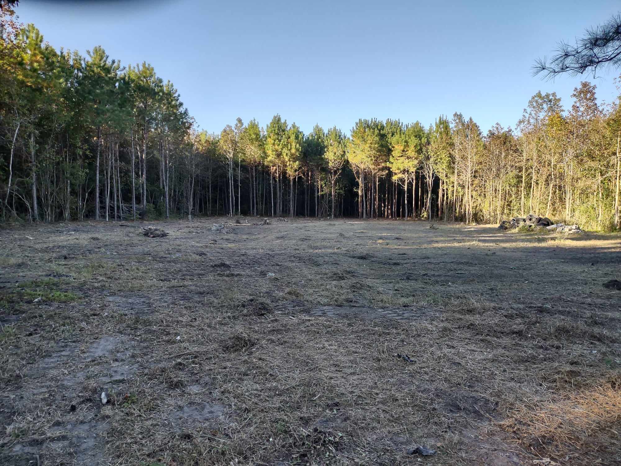 professional Land Clearing Jacksonville NC